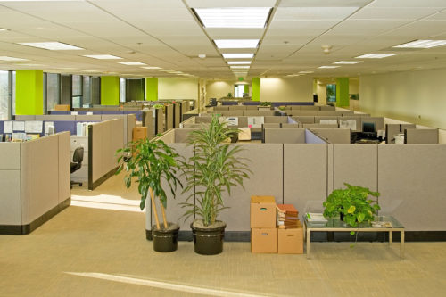 Office Space: Modern Trends in Workplace Layout