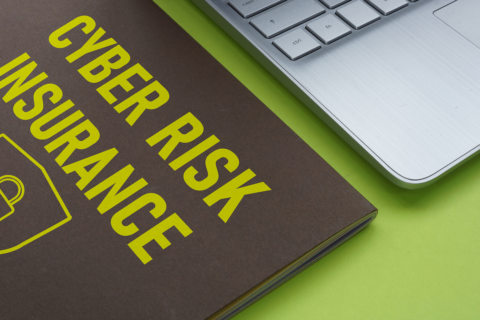 Cyber Risk Insurance Updates